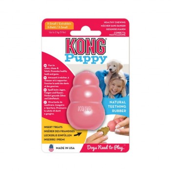 Kong Puppy