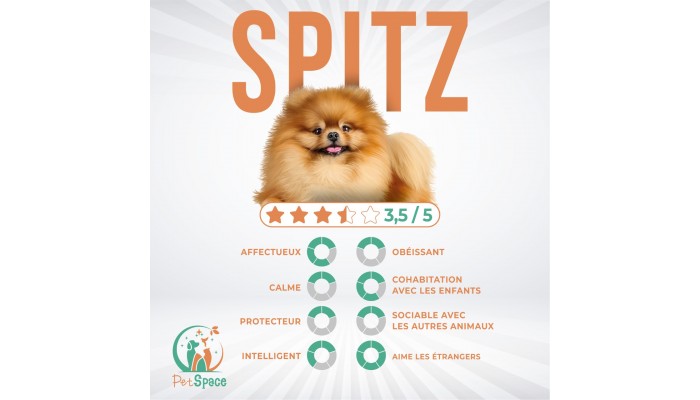 SPITZ